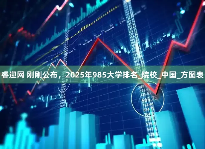 睿迎网 刚刚公布，2025年985大学排名_院校_中国_方图表