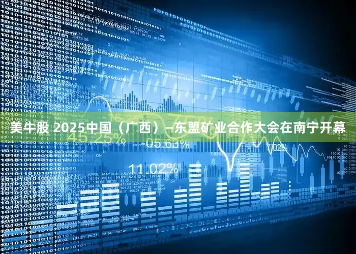 美牛股 2025中国（广西）—东盟矿业合作大会在南宁开幕