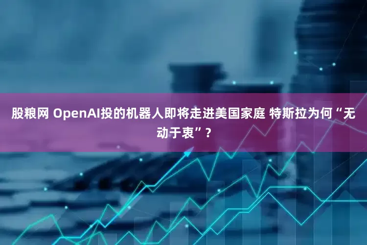 股粮网 OpenAI投的机器人即将走进美国家庭 特斯拉为何“无动于衷”？